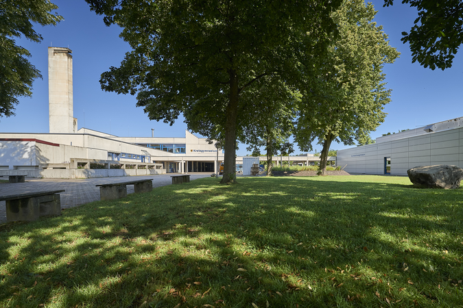 Außengelände des Kreisgymnasiums, im Vordergrund eine Grünfläche und ein Baum, im Hintergrund das Schulgebäude