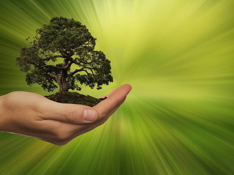 Nachhaltigkeit symbolisiert durch menschliche Hand und Baum