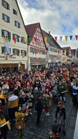 Marktplatz voller Narren