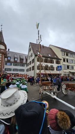 Der Narrenbaum wird vor dem Rathaus gestellt