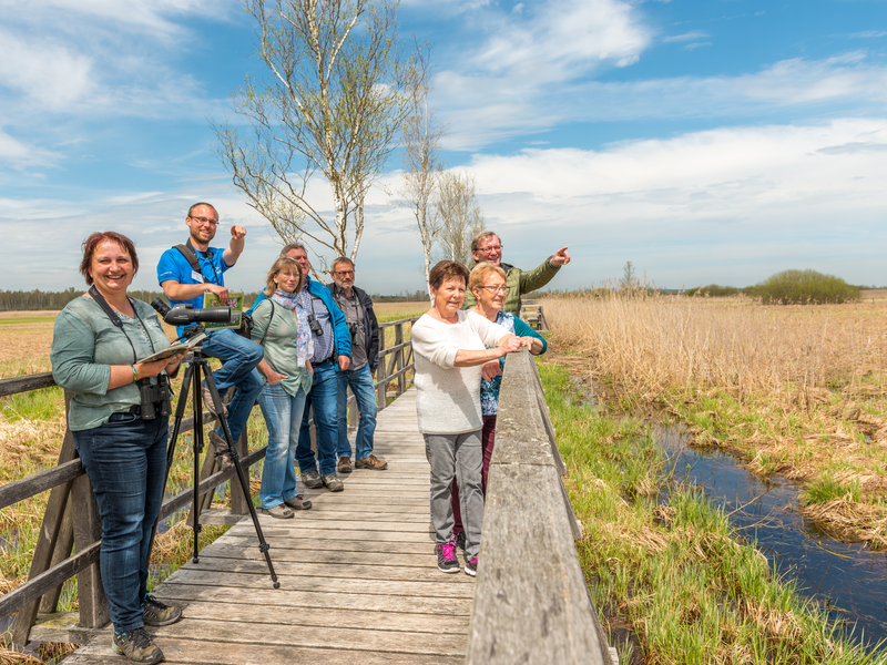 Menschen auf dem Steg genießen eine Führung am Federsee