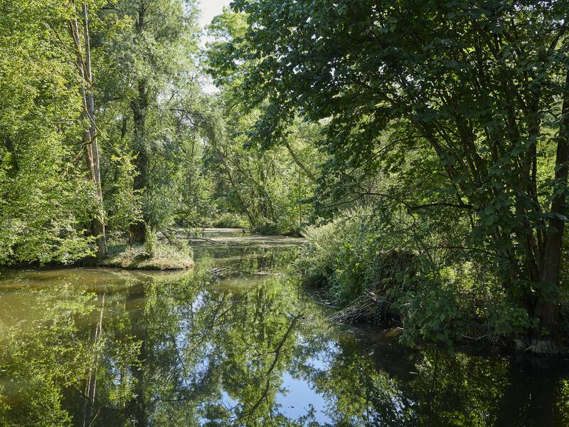 Blick auf den See innerhalb des Auenwaldparks Mißmahl'schen Anlage