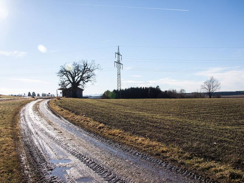 Ein schlammiger Feldweg führt durch eine ländliche Landschaft mit kahlen Bäumen und einem Strommasten unter einem blauen Himmel mit wenigen Wolken.