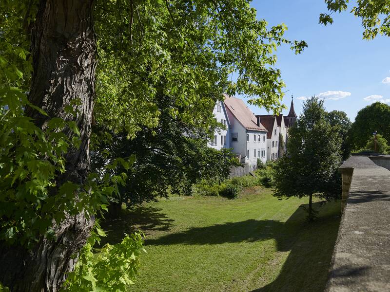 Blick in den historischen Riedlinger Stadtgraben, links ein Baum, in der Mitte der begrünte Stadtgraben